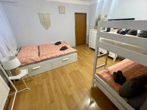 een slaapkamer met 2 stapelbedden en een houten vloer bij Ubytování U Mikeša in Břeclav