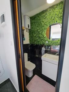 a bathroom with a toilet and a green wall at HM - Tinyhouse 1 Deluxe Krombachtalsperre Westerwald in Driedorf
