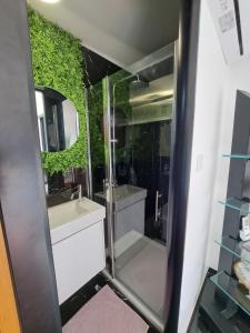 a bathroom with a shower and a sink and a mirror at HM - Tinyhouse 1 Deluxe Krombachtalsperre Westerwald in Driedorf