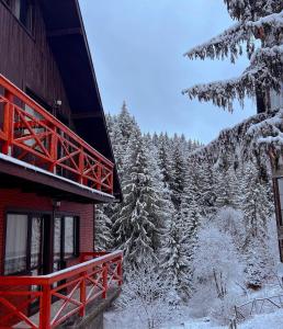 a building with a red railing and snow covered trees at Casa Familiei in Braşov