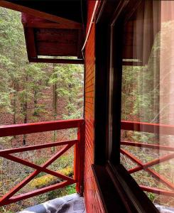 a window of a room with a view of a forest at Casa Familiei in Braşov