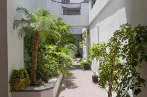 Zahrada ubytování Apartamentos Las Mozas