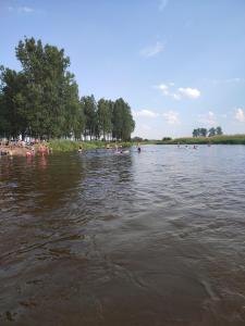 un grupo de personas nadando en un cuerpo de agua en Apartament nad Nidą, en Sobków