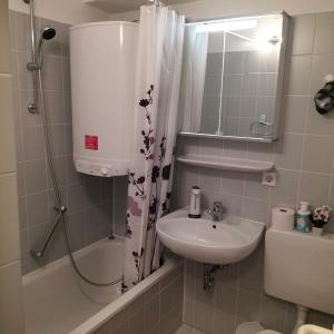 een badkamer met een wastafel, een douche en een toilet bij Stuttgart Holiday 02 in Stuttgart