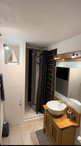 La salle de bains est pourvue d'un lavabo et d'une douche avec un miroir. dans l'établissement Maple Tree Chambre d'hôtes, à Darnac