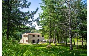 een oud huis in het bos met bomen bij Valguerriera - Avena in Apecchio