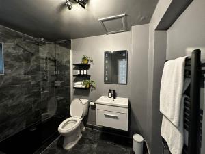 a bathroom with a toilet and a sink and a shower at Spacious Studio for 4 flat near Regents Park n2 in London