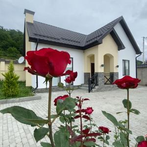 a house with red roses in front of it at Chilagir_garden in Qusar