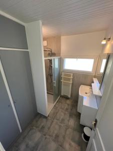 een kleine badkamer met een wastafel en een toilet bij Gîte le clos in Saint-Sulpice-de-Faleyrens