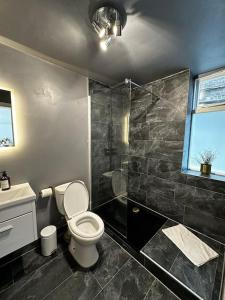 a bathroom with a toilet and a shower at Spacious studio for 4 near Regents Park n1 in London