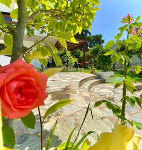 czerwona róża przed kamiennym chodnikiem w obiekcie Villa Naya by the Beach w mieście Anavissos