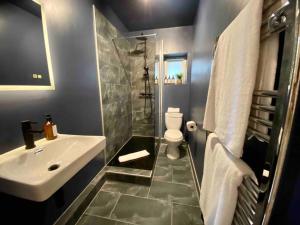 ein Bad mit einem Waschbecken, einer Dusche und einem WC in der Unterkunft Stylish Studio for 2 near Regents Park n4 in London