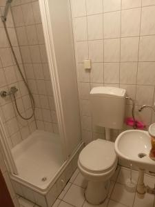 La salle de bains est pourvue de toilettes, d'une douche et d'un lavabo. dans l'établissement Domek pod Brzózką, à Ochotnica Górna