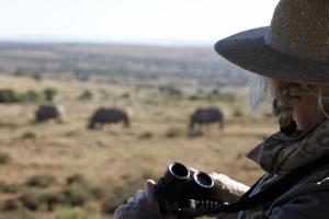 Una mujer con una cámara mirando elefantes en un campo en Bukela Game Lodge - Amakhala Game Reserve, en Reserva de Amakhala
