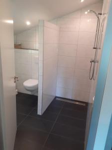 a bathroom with a toilet and a glass shower at Bungalow/vakantiehuis op park Bavelds Dennen in Denekamp +7 photos