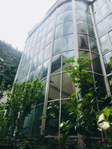 a glass building with trees in front of it at Vila Monica in Târgu-Mureş