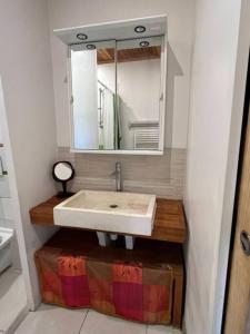 a bathroom with a sink and a mirror at Gîte à la campagne et son jacuzzi privatif 