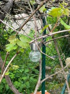 een glazen fles hangend aan een boomtak bij Gîte à la campagne et son jacuzzi privatif 