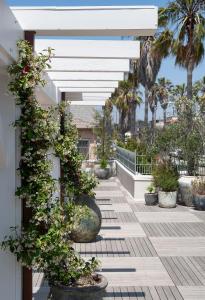 a courtyard with potted plants and palm trees at Vitorrja in Los Angeles