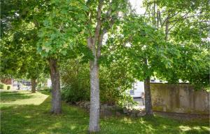博里霍尔姆Gorgeous Home In Borgholm With Wifi的草地上的一组树木 更多10张照片