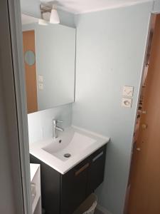 a bathroom with a white sink and a mirror at Mobile Home in Avrillé