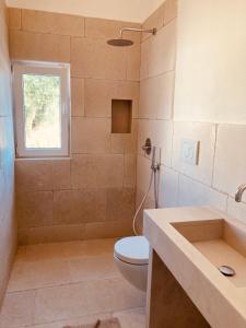 a bathroom with a toilet and a shower and a sink at Villa Pupetta Ostuni 4 bedrooms 4 bathrooms - swimming pool in Ostuni