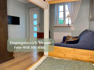 a living room with a blue couch and a tv at Pension Adele - Ruhig, direkt am Elberadweg & Badesee mit Balkon in Dresden