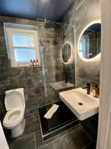 La salle de bains est pourvue de toilettes et d'un lavabo. dans l'établissement Studio for 3 near Regents Park n5, à Londres