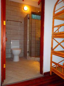 a bathroom with a toilet and a walk in shower at Orosi Lodge in Orosí