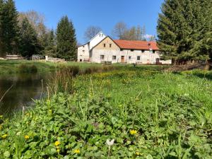 a house with a field of flowers in front of a river at Na Mlejně in Telč