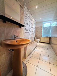 ein Bad mit einem Waschbecken und einem WC in der Unterkunft Apartment Hotel Adler Leipzig in Leipzig