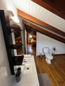 a bathroom with a sink and a toilet in a room at Villa au calme avec Jacuzzi, Villa Le Boursoie in Les Abymes