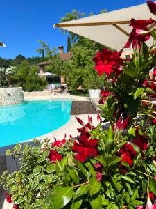 una piscina con flores rojas y una sombrilla en Borghetto San Biagio Relais Agriturismo en Thiene