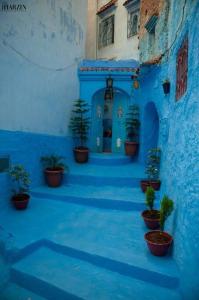 Une allée bleue avec des plantes en pot dans un bâtiment dans l'établissement Chez laasri, à Chefchaouen