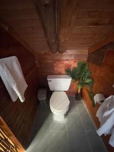 a bathroom with a toilet in a wooden cabin at EVA Glamping in Santa Elena