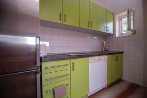 cocina con armarios verdes y nevera de acero inoxidable en Apartmani Berdovic en Trebinje