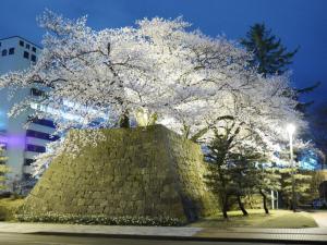 uma árvore com flores brancas em cima de uma parede em Hotel Fukui Castle - Vacation STAY 58712v em Fukui