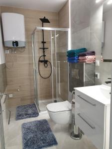 a bathroom with a shower and a toilet and a sink at Apartamenty Kornel 3 in Pobierowo