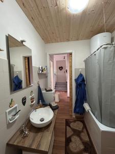 ein Bad mit einem Waschbecken, einem Spiegel und einer Dusche in der Unterkunft Borgo Carletto Roburent - Immersi nella natura in San Giacomo