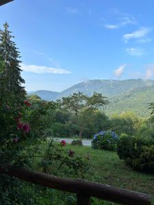 Blick auf ein Tal mit Bergen im Hintergrund in der Unterkunft Borgo Carletto Roburent - Immersi nella natura in San Giacomo