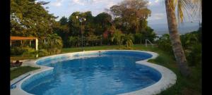 einen Pool im Garten mit Palmen in der Unterkunft Casa Laguna in Coyuca