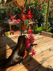Fotografie z fotogalerie ubytování La Providencia Lodge v destinaci Mindo