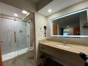 y baño con lavabo, ducha y espejo. en Brentwood Inn & Suites, en Suffolk