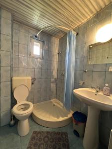 La salle de bains est pourvue de toilettes et d'un lavabo. dans l'établissement Vila Cretu Bran, à Bran