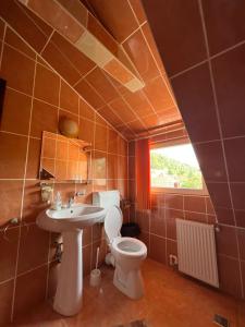 La salle de bains est pourvue de toilettes et d'un lavabo. dans l'établissement Vila Cretu Bran, à Bran