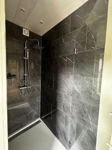 een badkamer met een douche met zwarte tegels bij Le Coin Rocheux in La-Roche-en-Ardenne