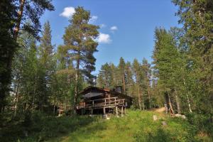 una vecchia cabina in mezzo a una foresta di Mäntyrinne a Syöte