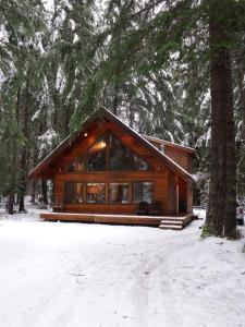 Chalet-style cabin near Mt. Rainier and Crystal tokom zime