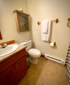 een badkamer met een toilet, een wastafel en een spiegel bij Park Place - The Boardwalk 112-B in Darby