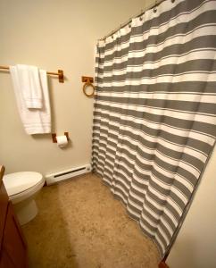 a bathroom with a shower curtain and a toilet at Park Place - The Boardwalk 112-B in Darby